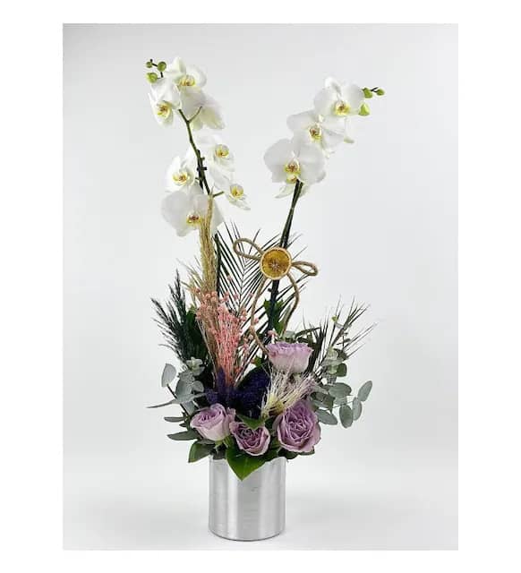 White Orchid Special Series