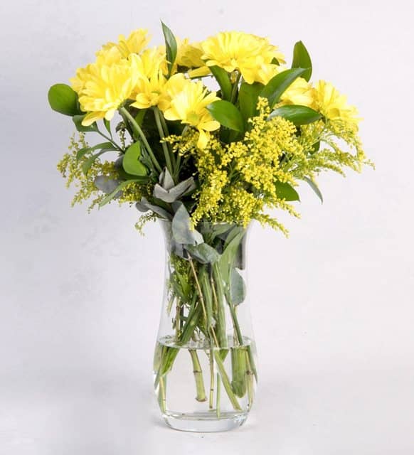 Yellow Daisies in a Vase