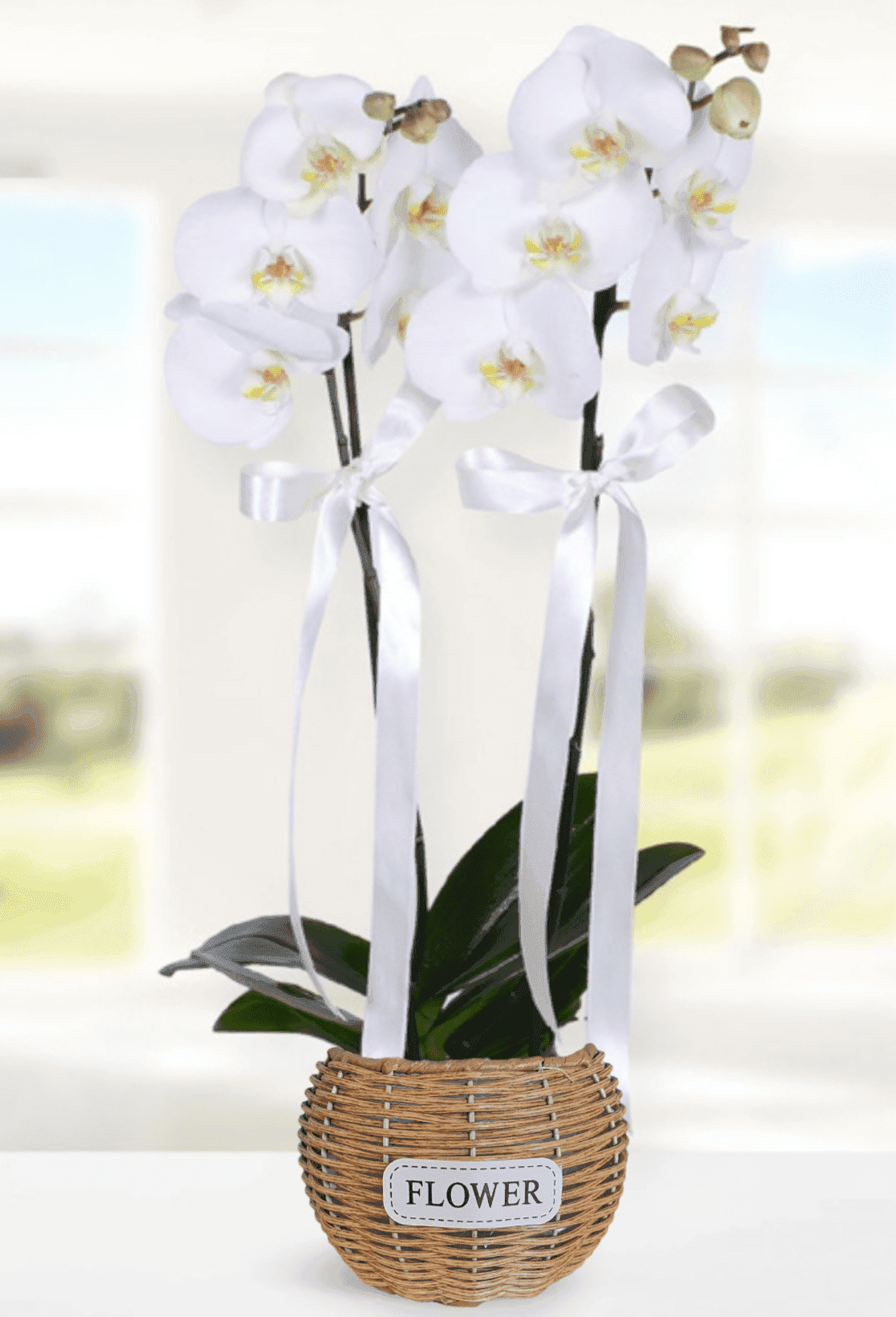 Two Stems of White Orchids in a Wicker Basket