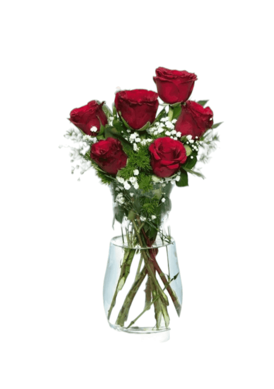 Six Red Roses in a Paşabahçe Vase