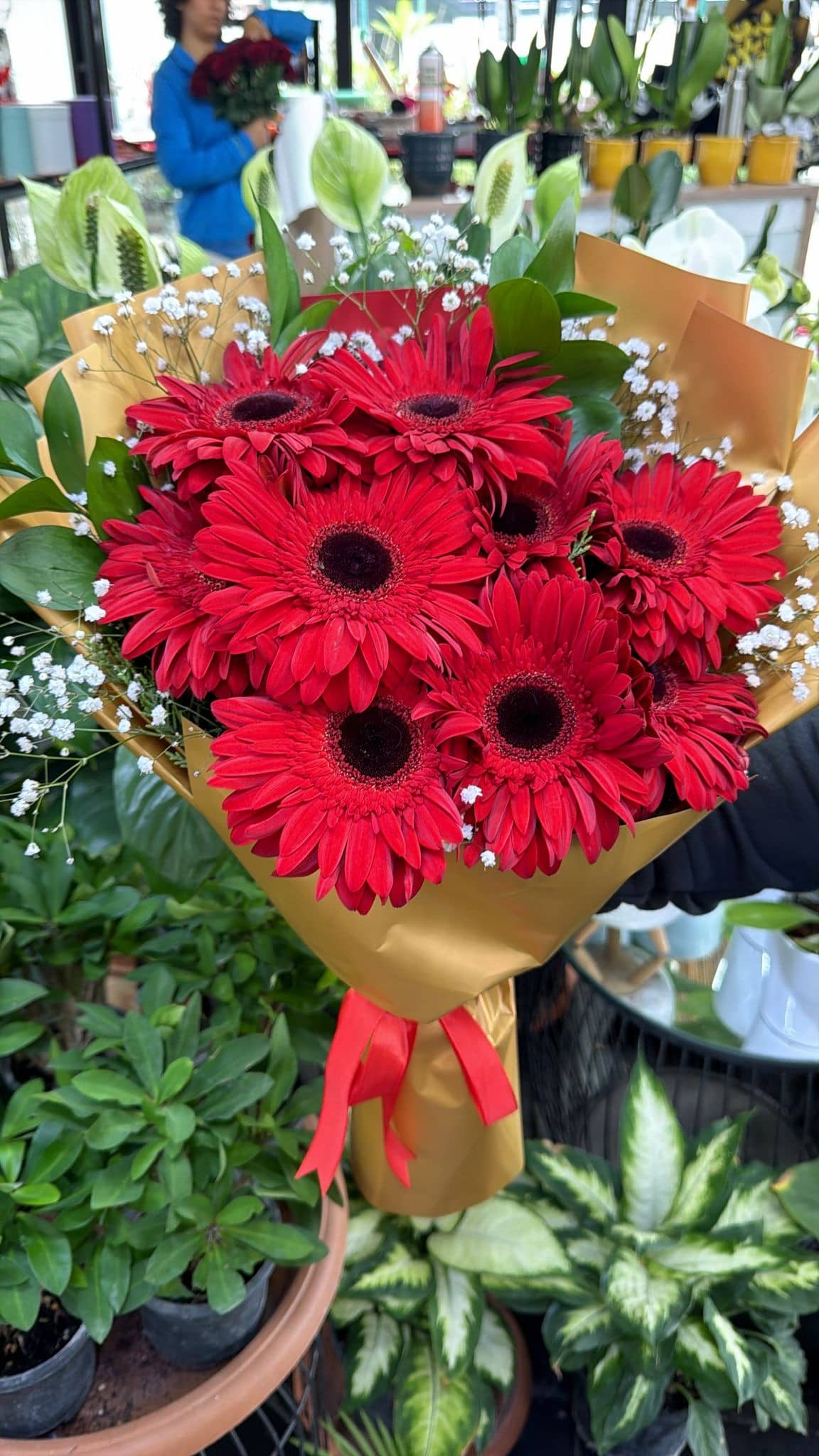 Red Gerbera Bouquet