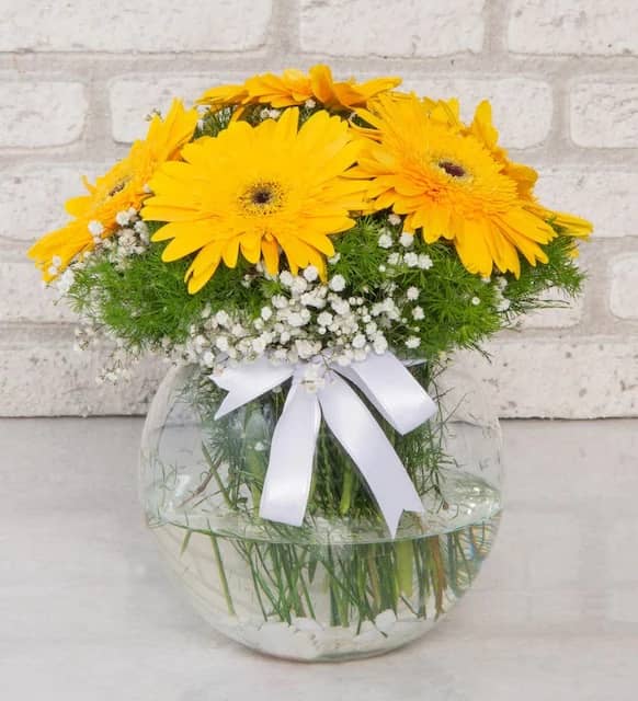 Spring Magic Yellow Gerberas