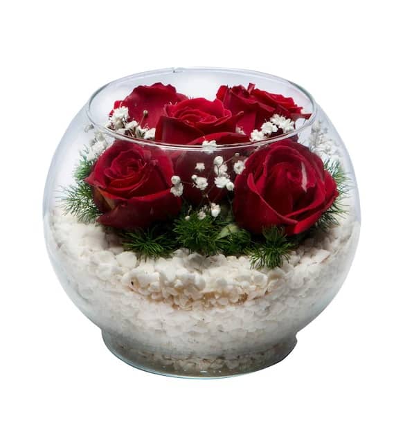 Six Red Roses in a Paşabahçe Aquarium Vase Six Red Roses in a Paşabahçe Aquarium Vase