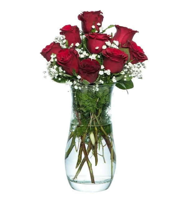Nine red roses in a Paşabahçe vase. Nine red roses in a Paşabahçe vase.