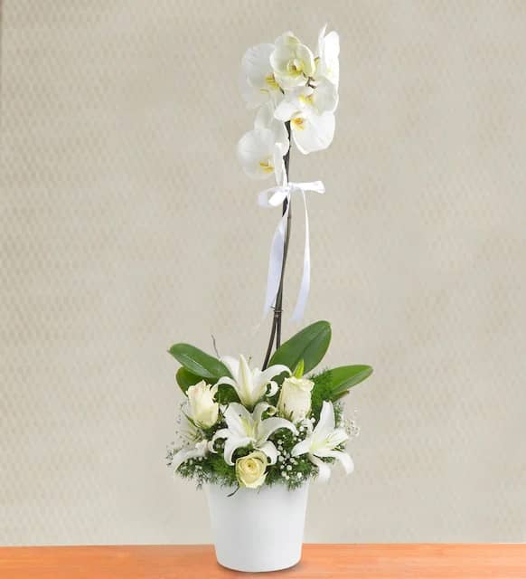 Water Fairy Orchid, Lily and 3 White Rose Arrangement Water Fairy Orchid, Lily and 3 White Rose Arrangement