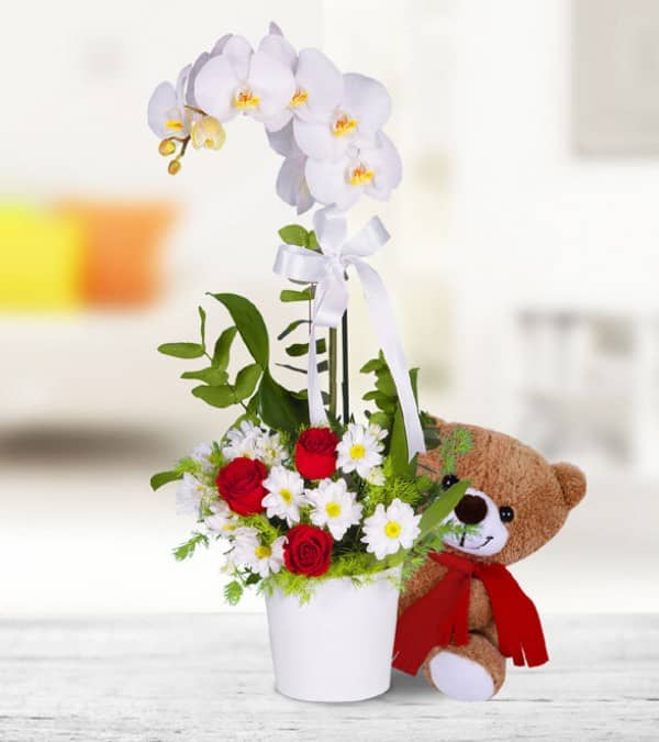 Double Stem White Orchid, 3 Red Roses, Daisy and Teddy Bear Arrangement