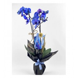 2 Dal Mavi Orkide - Black Tasarım
