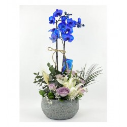 Mavi Orkide - Lila Gül Ve Lilyum Tasarım Special Serisi